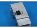 Thermal glue TermoGlue tube 10g